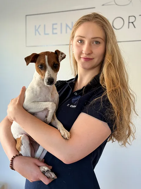Kleintierorthopäden